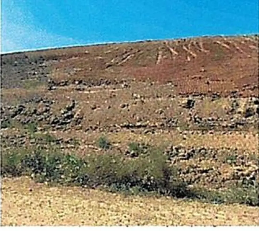 Photograph of the eastern slope of the landfill documented during a TDEC inspection.
